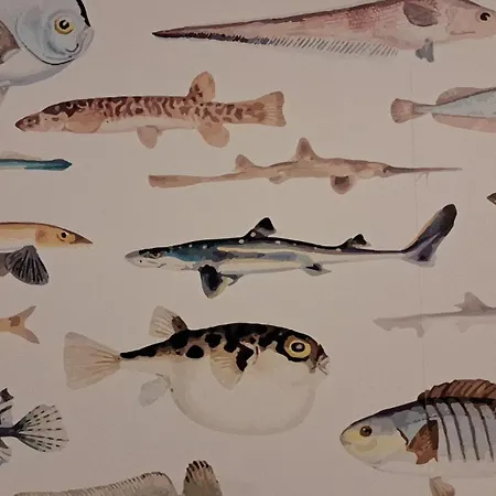 L'aquarium *