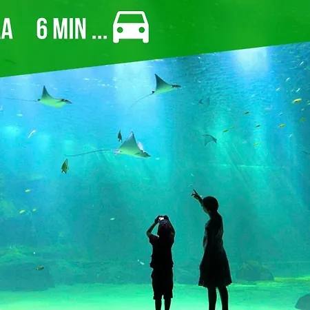 L'aquarium Apartment Boulogne-sur-Mer